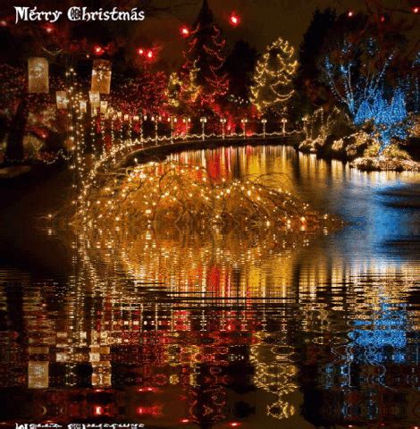 Christmas Lights GIF - Find & Share on GIPHY