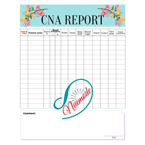 CNA Care Report Sheet - Etsy