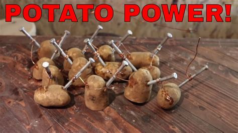 Potato Light Bulb Experiment Materials