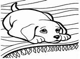 Dog Barking Drawing At GetDrawings  Free Download sketch template