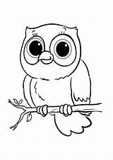 Baby Owl Coloring Pages To Print  Easy For Kids sketch template