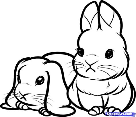 Coloring Pages Of Bunnies