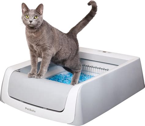 Amazon.com: PetSafe ScoopFree Crystal Pro Self-Cleaning Cat Litterbox - Never Scoop Litter Again ...