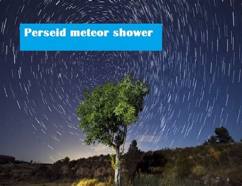 When, Where, And What Is The Perseid Meteor Shower | News Trust Of India