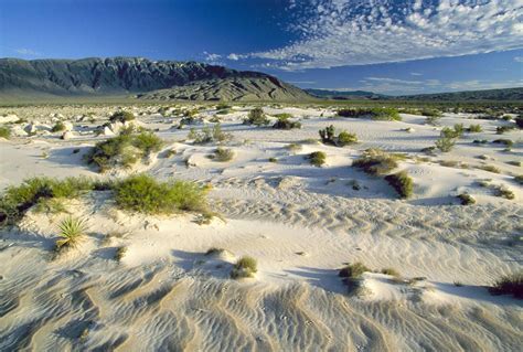 cuatro cienegas coahuila | México, Coahuila mexico, Coahuila