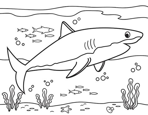 Printable Great White Shark Coloring Page