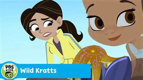 WILD KRATTS | Barnacle Powers | PBS KIDS - YouTube