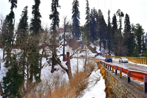 Nathia Gali: An Alluring Location of Abbottabad KPK