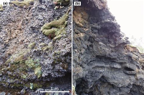 Lava textures at the shoreline. a Larger lava bodies of coherent ‘a‘ā ...