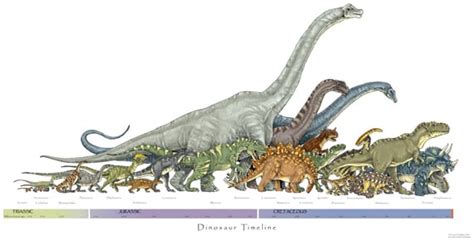 Dinosaur Timeline print / Coyote Graphics