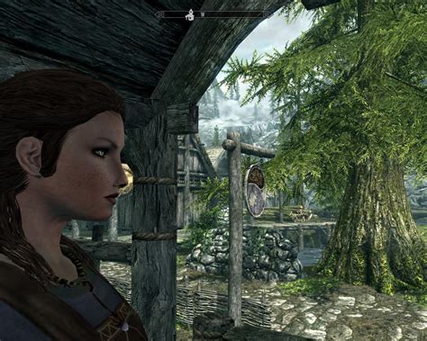 Profile shot of my red-headed Breton character. : skyrim