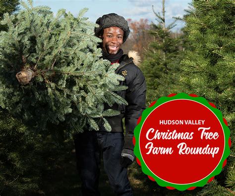 Christmas Tree Farms of the Hudson Valley