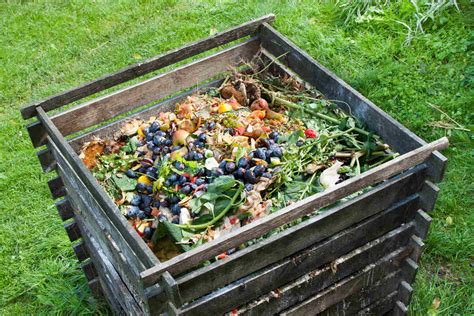 Composting 101: How to Start Composting
