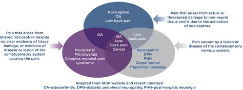 Chronic Pain - Neumentum, Inc.