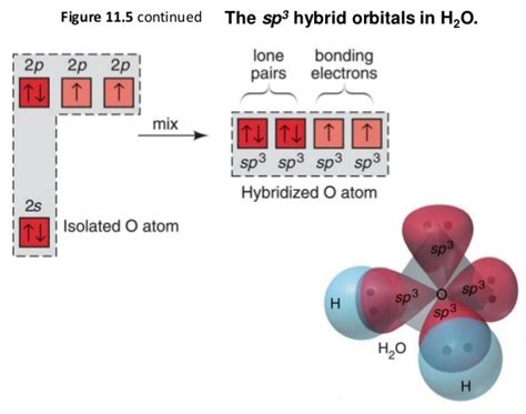 Difference Between Hybrid Orbitals And Molecular Orbitals Formation ...