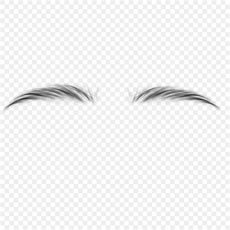 True Eyebrows Png Vector Psd And Clipart With Transparent Background ...