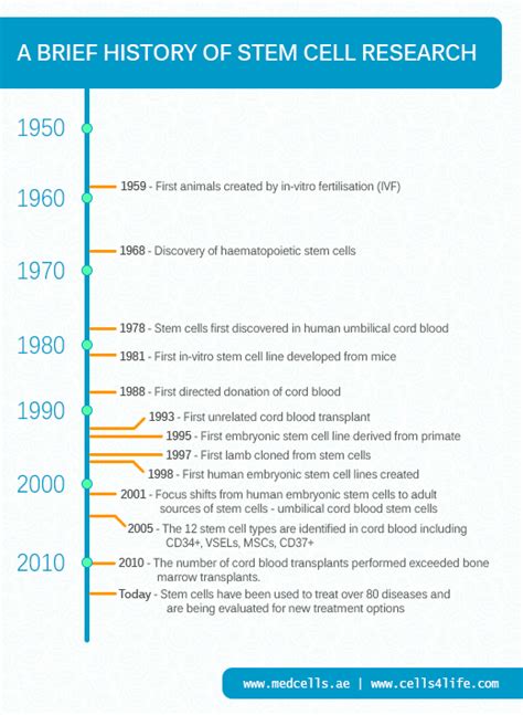 A Brief History of Stem Cell Research | MedCells Cord Blood Banking