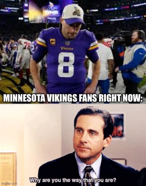 Vikings Fan Memes