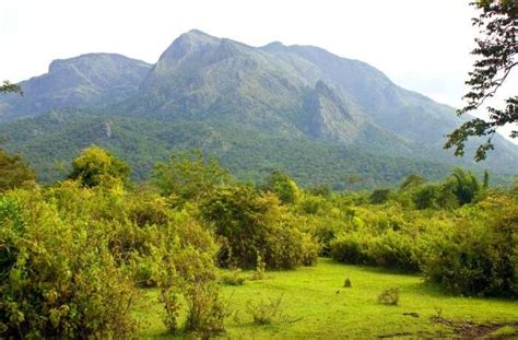 All About Mudumalai National Park, The Pride Of The Nilgiris