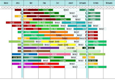 Printable Succession Planting Chart - Printable Word Searches