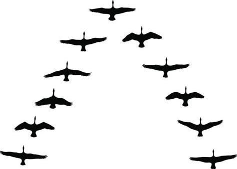 Silhouette Of The Flying Geese Illustrations, Royalty-Free Vector ...