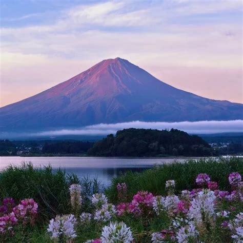 Fuji Five Lakes: A Beautiful Blend of Nature and Serenity in Yamanashi Prefecture