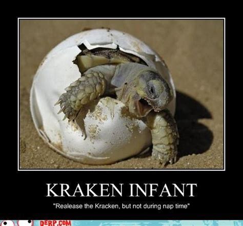 Funny Kraken Pictures