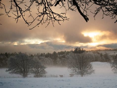 Discover Winter in Scotland | Wilderness Scotland