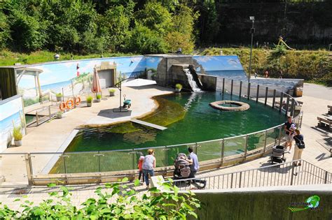 Seehundanlage - Zoo Saarbrücken | Freizeitpark-Welt.de