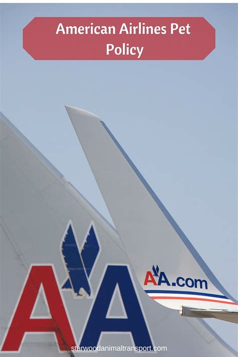 American Airlines Pet Policy