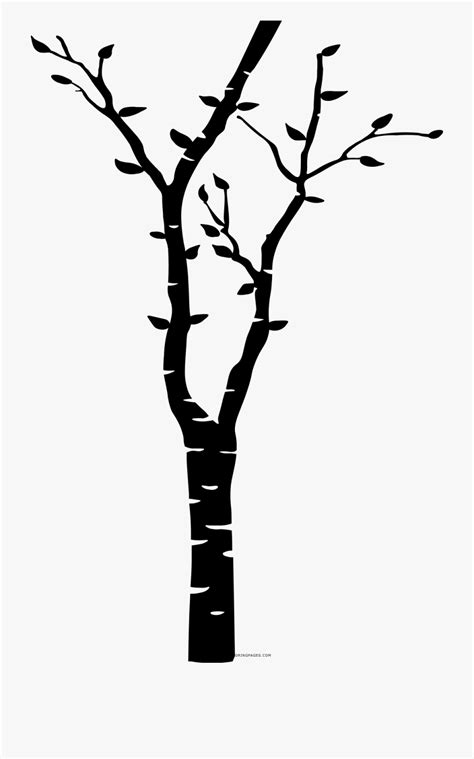 clipart birch tree 10 free Cliparts | Download images on Clipground 2024