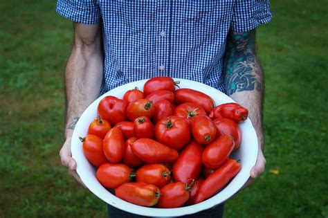 A How To Guide Canning Tomatoes • The Farmhouse Project