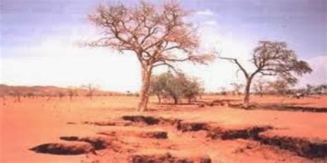 Arid Soil Images