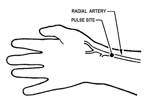 Radial pulse location