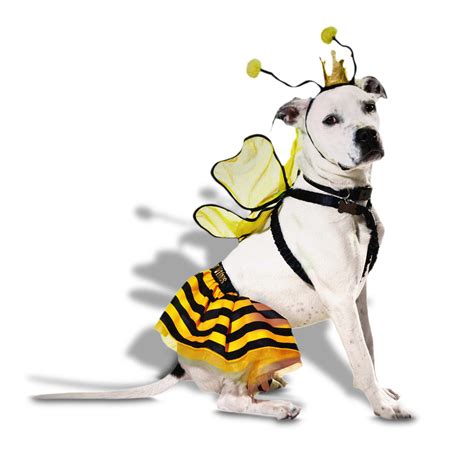 Bootique Queen Bee Costume for Dogs, XX-Small | Petco