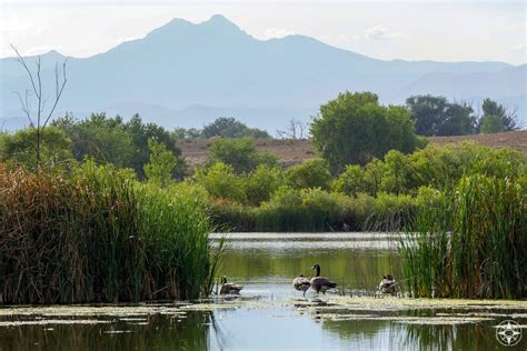 Road Trip Must-Stop: St. Vrain State Park (Colorado) - Happier Place