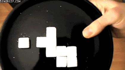 Plate GIFs - Find & Share on GIPHY