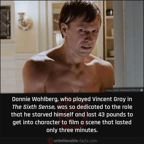 Image credit: Hollywood Pictures Donnie Wahlberg, who played Vincent Gray in The Sixth Sense ...