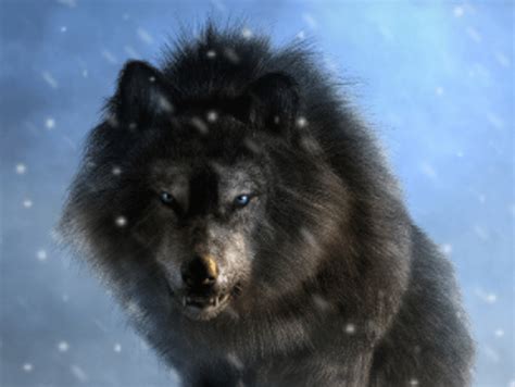 Ancient DNA sheds light on Game of Thrones’ dire wolves