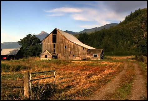 The Abandoned Farm Field – Creepypasta Wiki