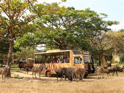 Mara River Safari Lodge Hotel Gianyar - Wandernesia