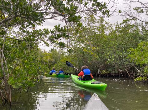 Kayaking Adventure Through Central Florida's Mangroves