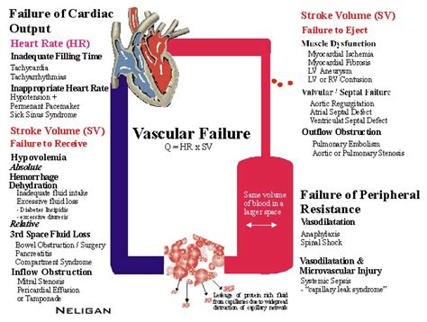 Vascular resistance; Peripheral Resistance; Total Peripheral Resistance