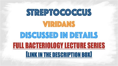 Streptococcus viridans or Viridans Streptococci : clinical ...