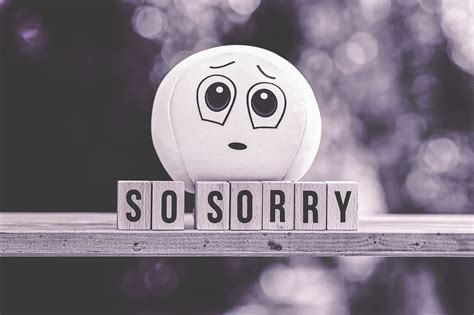 Apologise Or Apologize? Depends On Where You Live » Ranking Articles