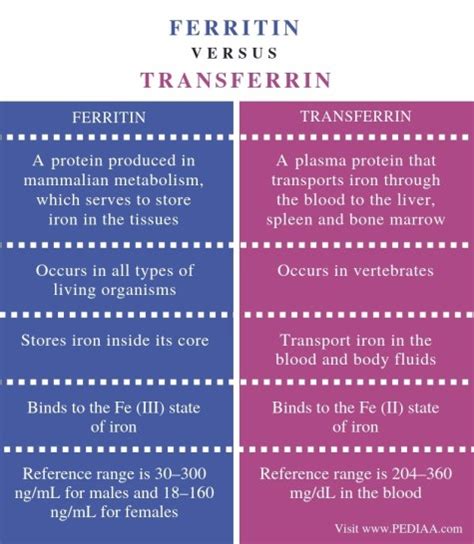 What is the Difference Between Ferritin and Transferrin - Pediaa.Com