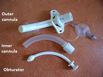 What is an Obturator Tracheostomy? | Study.com