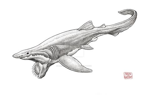 Helicoprion by aaronjohngregory on DeviantArt