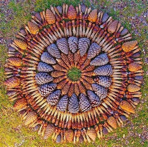 natural material mandalas - Google Search | Nature mandala, Nature art prints, Nature art