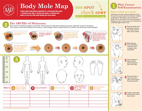 Mole Mapping | Gadgets 2018